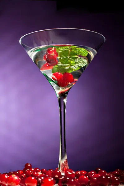 Berries alcohol coctail — Stock Photo, Image