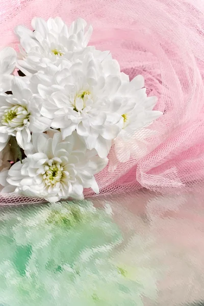 Flor de flor blanca — Foto de Stock