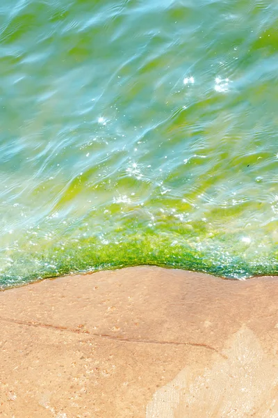 Custo da pedra do mar — Fotografia de Stock