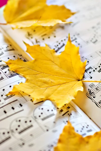 Осенний лист Стоковое Фото
