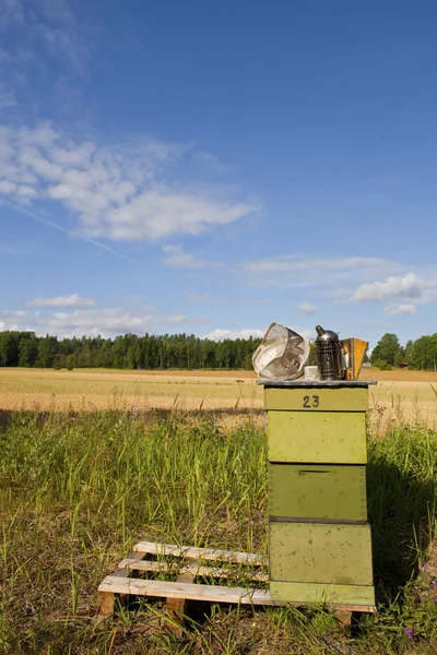 Bee in to nature — Stock Photo, Image