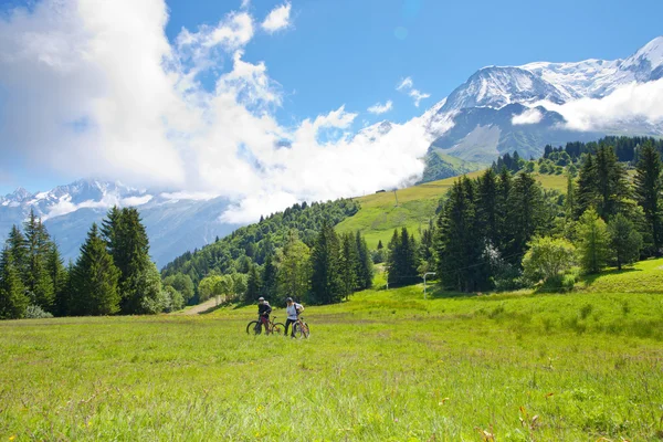 Alps Chamonix — Stock Photo, Image
