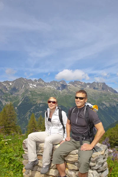 Alps Chamonix — Stock Photo, Image