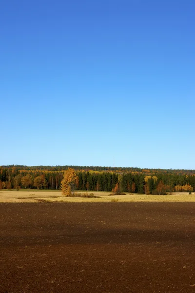 Finse landbouw — Stockfoto