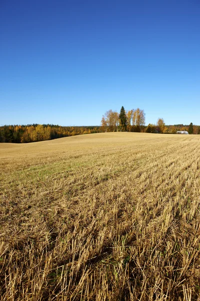 Agricoltura finlandese — Foto Stock