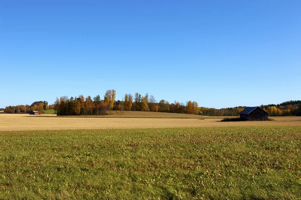 핀란드 농업 — 스톡 사진