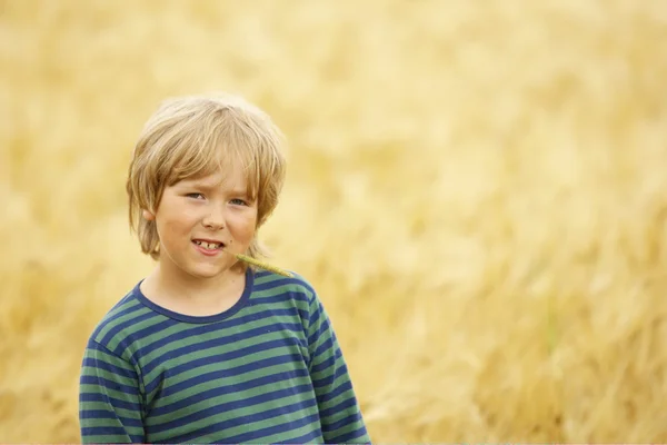 stock image Finnish agriculture