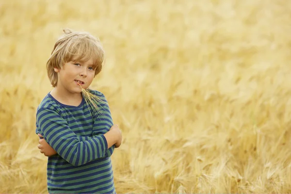 stock image Finnish agriculture