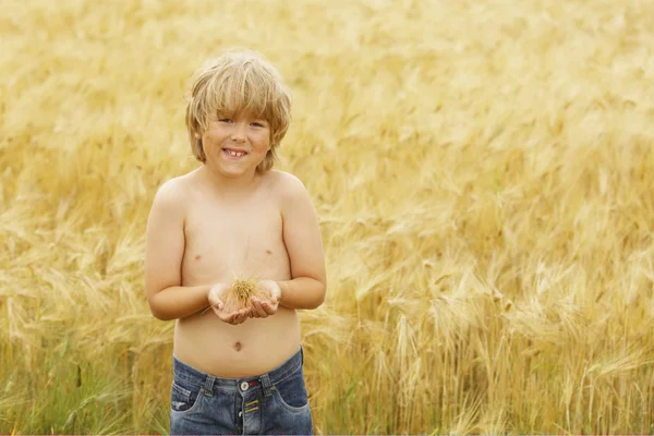 stock image Finnish agriculture