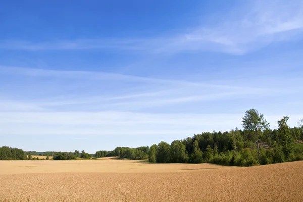 Сельское хозяйство Финляндии — стоковое фото