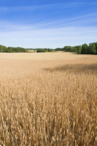 Finn mezőgazdasági — Stock Fotó