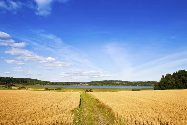 Finské zemědělství — Stock fotografie