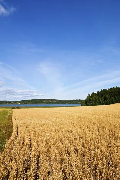Finn mezőgazdasági — Stock Fotó