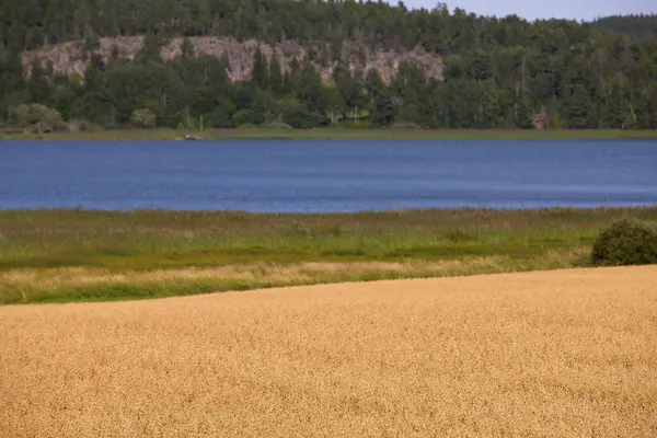 Agricultura finlandesa —  Fotos de Stock