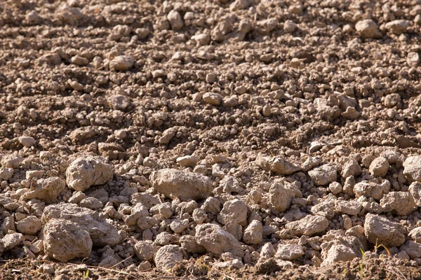 Finnish agriculture — Stock Photo, Image