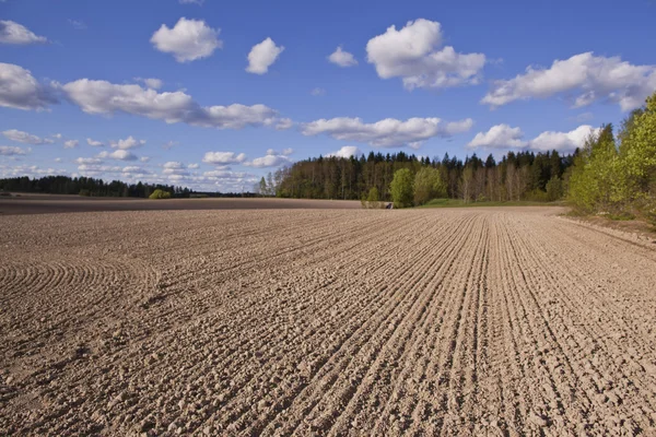 Finska jordbruk — Stockfoto