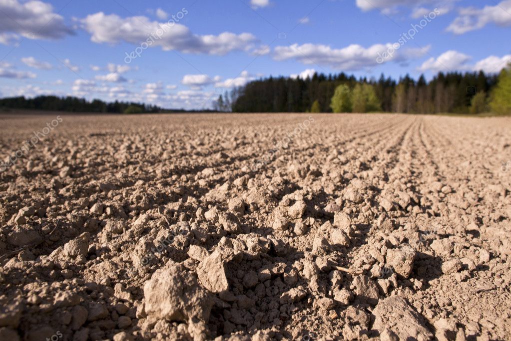 Finnish agriculture — Stock Photo © terosivula 7854113
