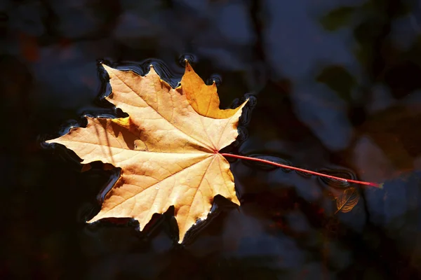 Az őszi Időjárás — Stock Fotó