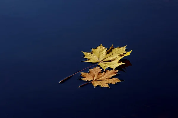 秋の天気で — ストック写真