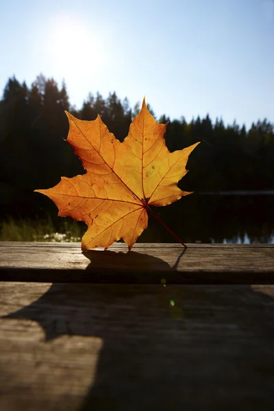 En otoño el tiempo —  Fotos de Stock