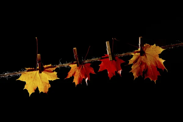 Осенью — стоковое фото