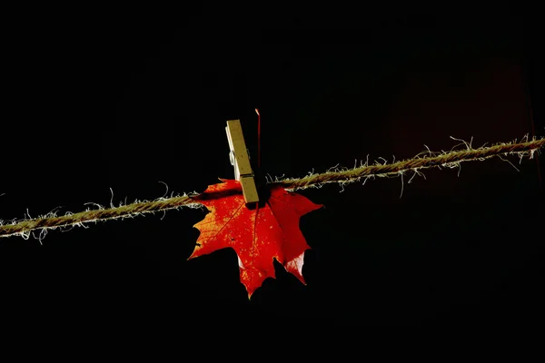 En otoño el tiempo — Foto de Stock