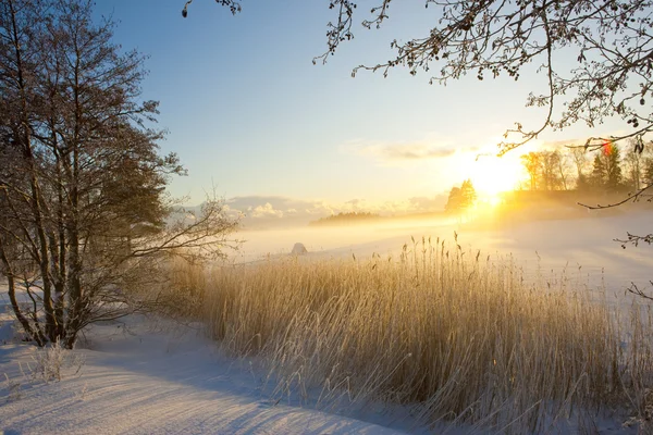 Zima v Finsku — Stock fotografie