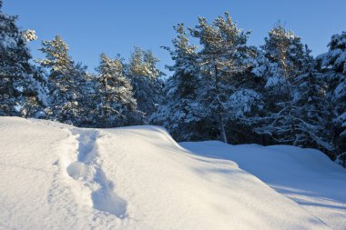 Finlandiya Kış