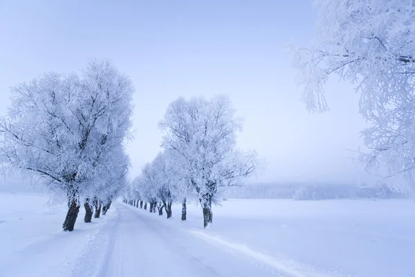 Invierno en el finland — Foto de Stock