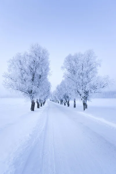 L'hiver en Finlande — Photo