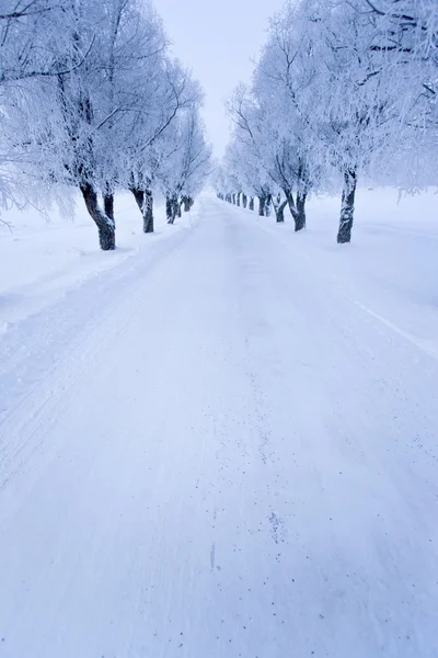 stock image Winter in the finland