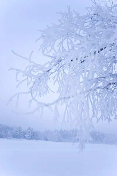 Winter in Finnland — Stockfoto
