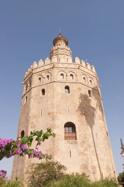 A "Torre del Oro" em Sevilha — Fotografia de Stock