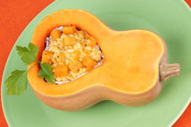 Pumpkin risotto clipart