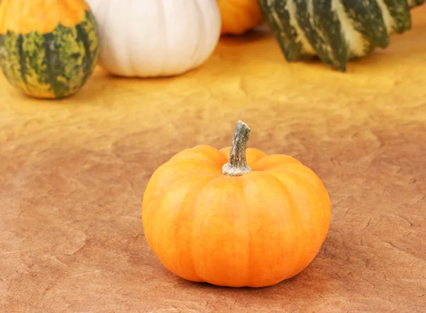 stock image Pumpkins