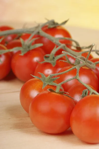 Gros plan sur les tomates cerises — Photo