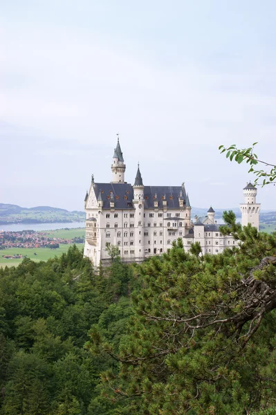 Castello di Neuschwanstein Fotografia Stock