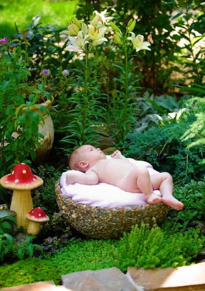 O bebê em um jardim — Fotografia de Stock