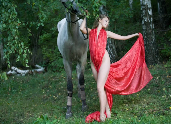 La chica y el caballo —  Fotos de Stock