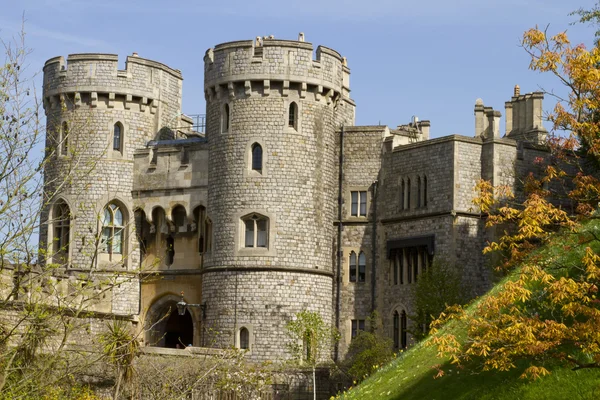 Windsor castle siperleri — Stok fotoğraf
