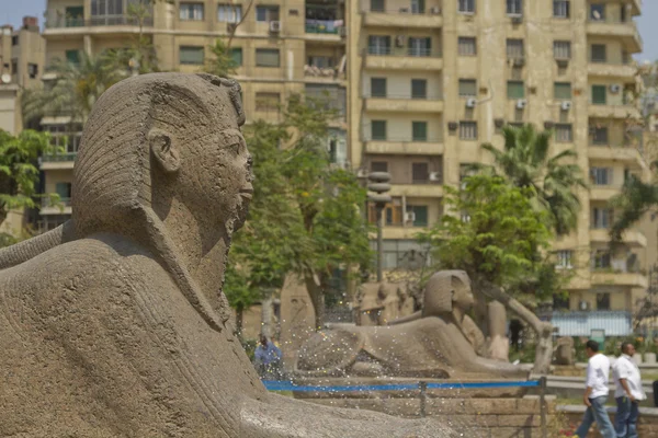 pembe granit sphinx cairo