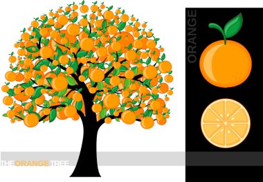 Illustration of a cartoon orange tree isolated on white background clipart