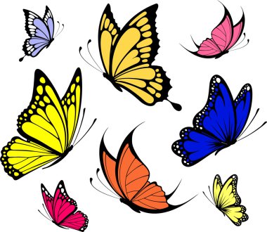 Butterflies vector clipart