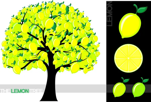 Ilustrace kreslené citron stromu izolovaných na bílém pozadí — Stockový vektor
