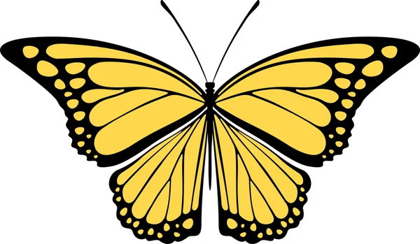 Disegno farfalla isolato su sfondo bianco — Vettoriale Stock