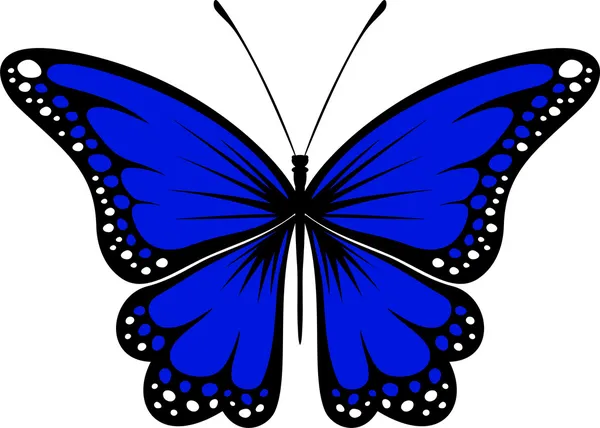 Diseño de mariposa aislado sobre fondo blanco — Vector de stock