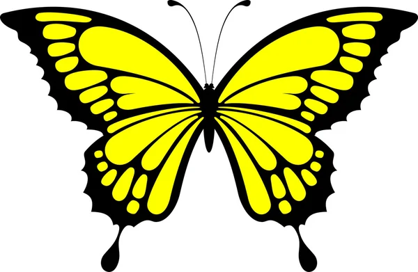 Disegno farfalla isolato su sfondo bianco — Vettoriale Stock