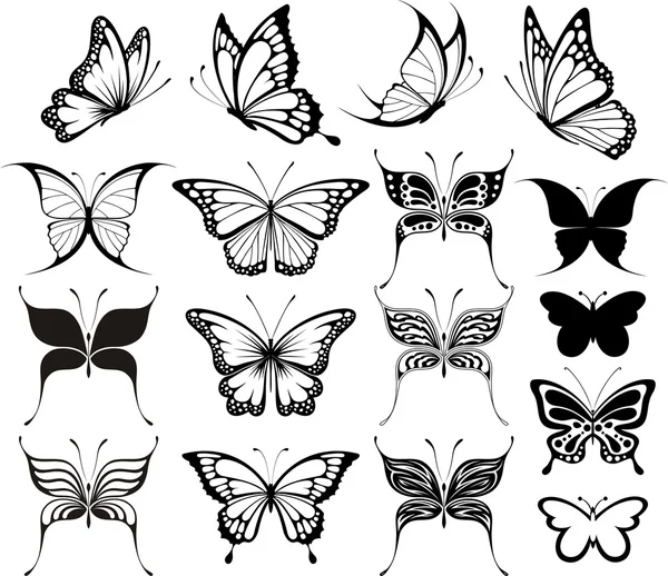 Conjunto vector mariposa — Vector de stock
