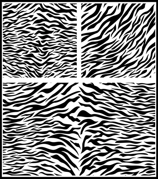 Tierabdruck von Zebrastreifen — Stockvektor