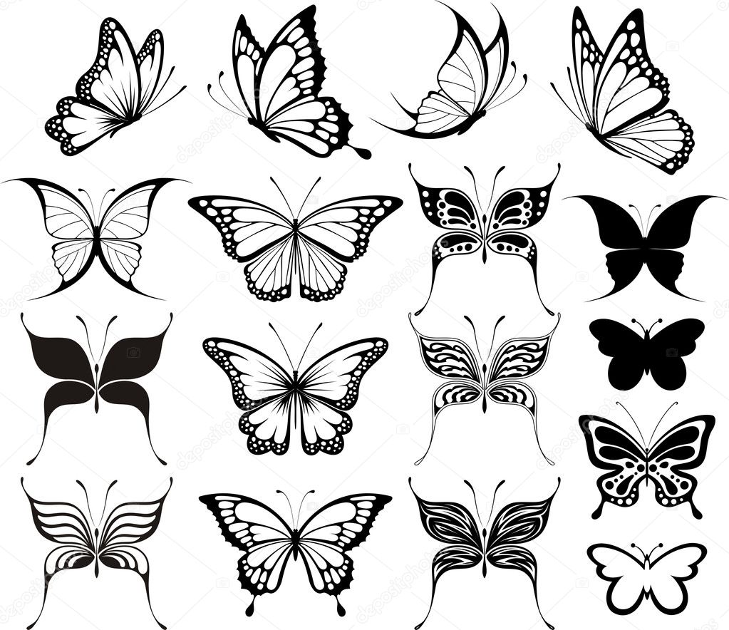 Free Free 236 Butterfly Outline Svg SVG PNG EPS DXF File